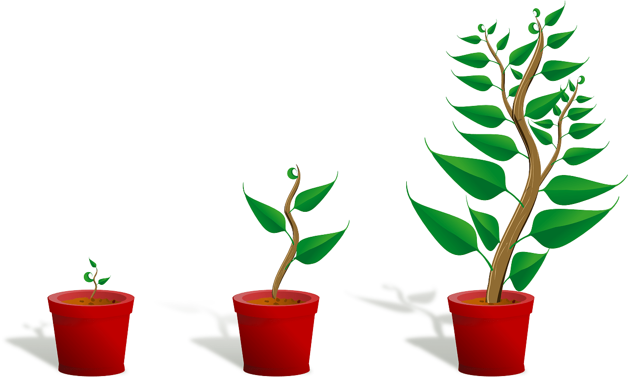Getting To Know Plants Clipart (1200x723), Png Download