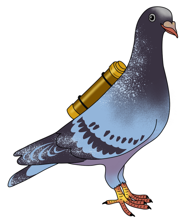 Dangerlam Carrierpigeon - Rock Dove Clipart (1000x1000), Png Download