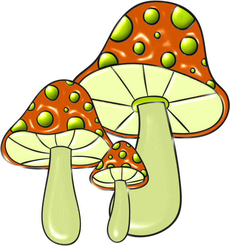 Snail - Fungus Clipart (853x937), Png Download