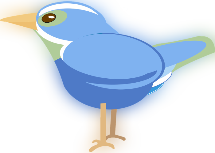 Color Palette Ideas From Bird Beak Clip Art Image - Vector Graphics - Png Download (700x500), Png Download