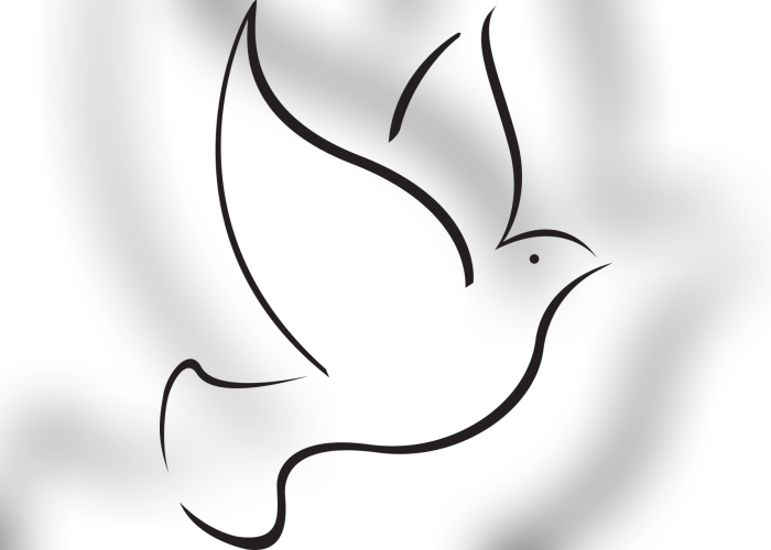 Color Palette Ideas From Face Black And White Line Clipart (700x500), Png Download