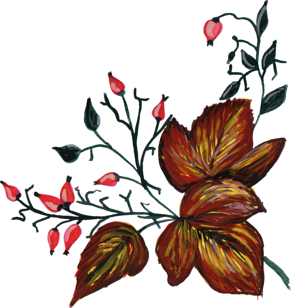 1529 × 1618 Px - Flower Ornament Png Clipart (968x1024), Png Download