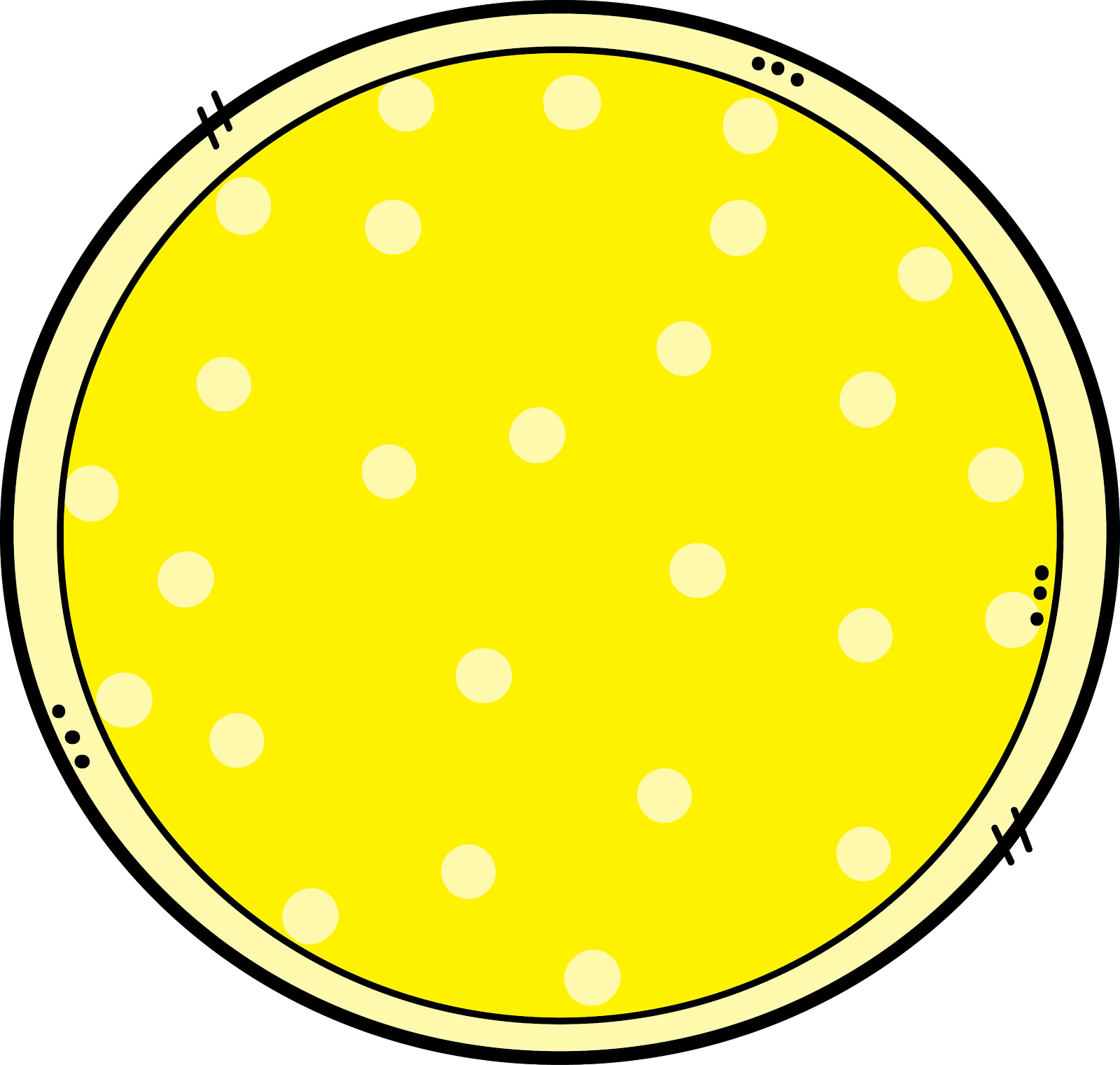 Students Could Also Use The Web Search Tool In Piccollage - Smiley Face Clipart (1600x1522), Png Download