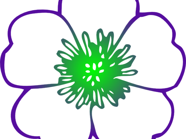 Jamaica Clipart Gumamela Flower - Colouring Pages Of Flower - Png Download (640x480), Png Download