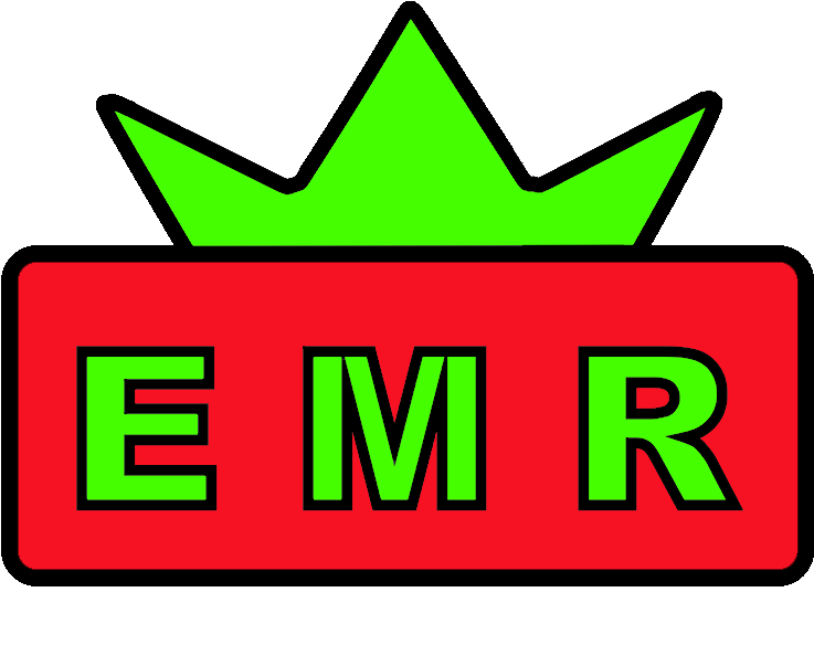 Emr Facility Services - Lion Clipart (741x640), Png Download