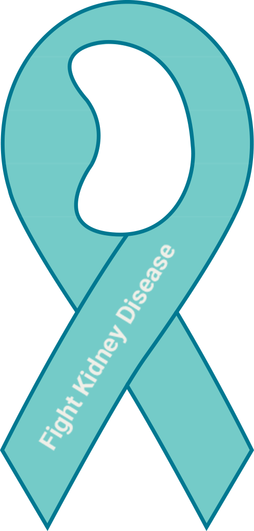 You Need To Have A Kidney-friendly Meal Plan When You - Red Clipart (496x1034), Png Download