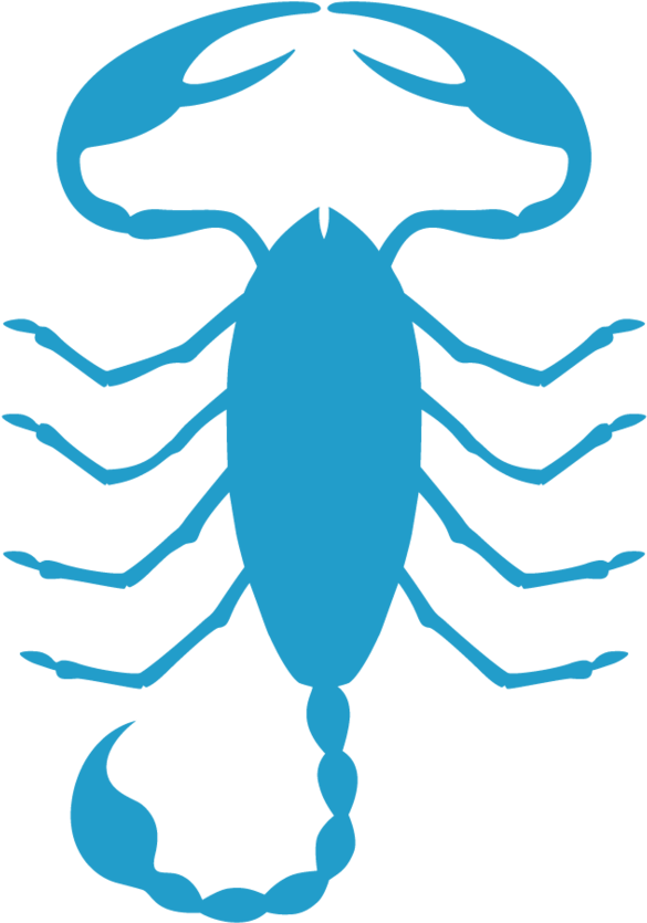 What A Year It Was, And This One Seems Poised To Keep - Illustration Clipart (1000x1000), Png Download