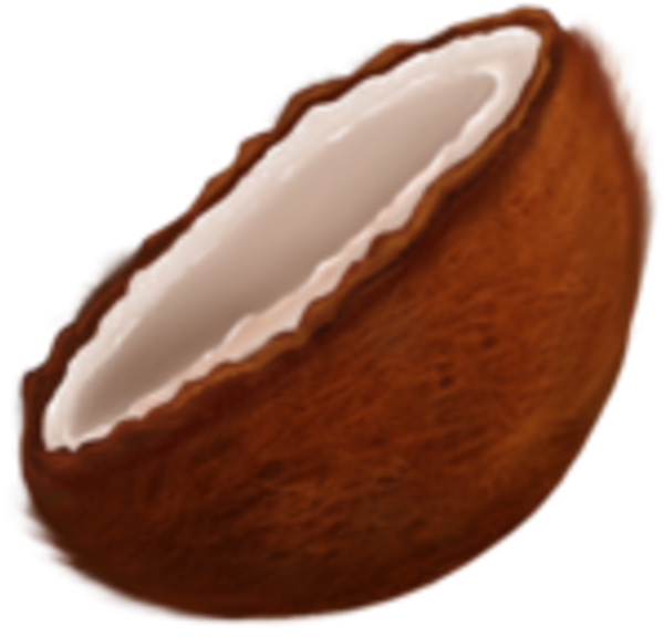 Coconut Clipart (640x640), Png Download