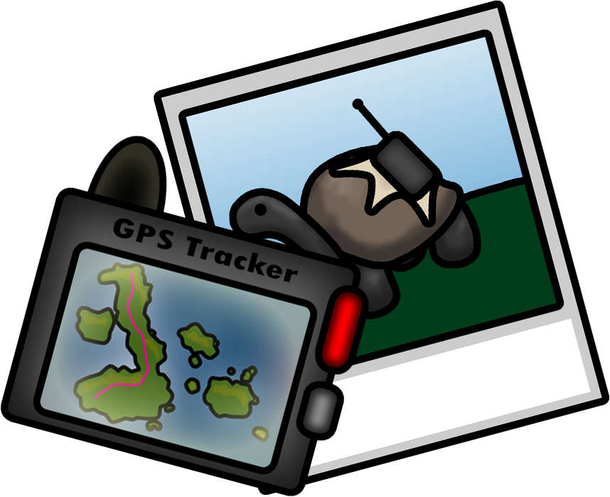 Tortoise Trackers Clipart (858x700), Png Download