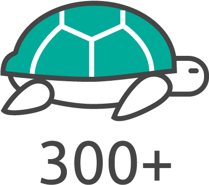 There Are More Than 300 Unique Species Of Wildlife - Tortoise Clipart (1100x735), Png Download