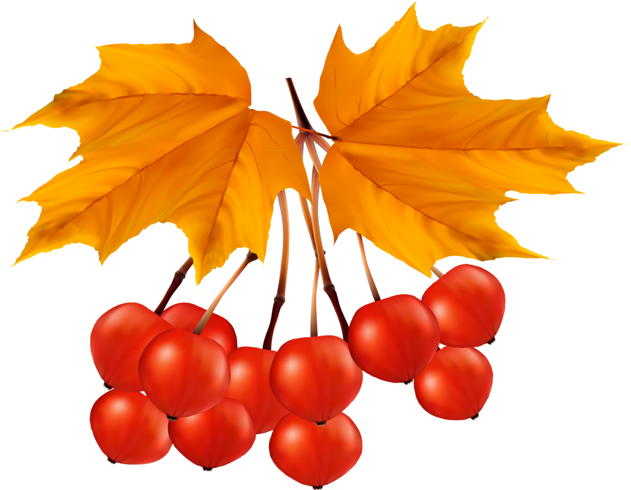 October Images Clip Art - Clip Art - Png Download (1280x994), Png Download