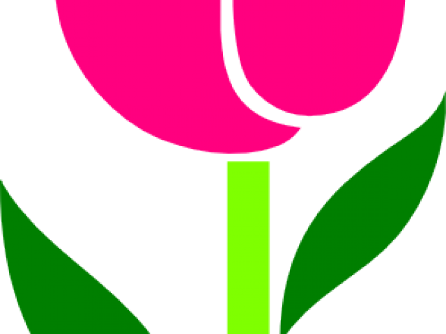 Tulip Cliparts - Clip Art - Png Download (640x480), Png Download