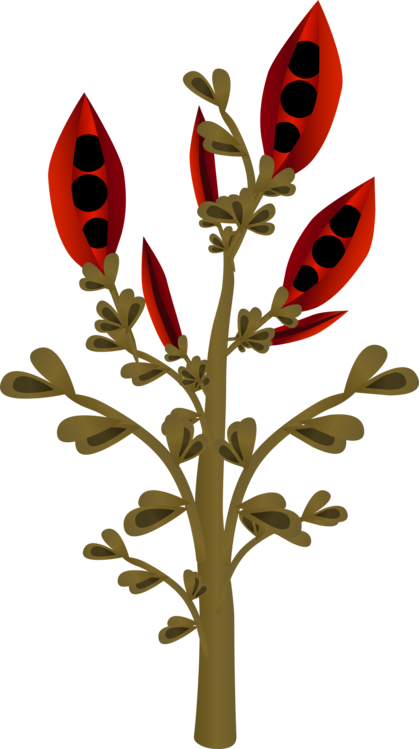 Petal Leaf Flower Floral Design - Flower Clipart (419x749), Png Download