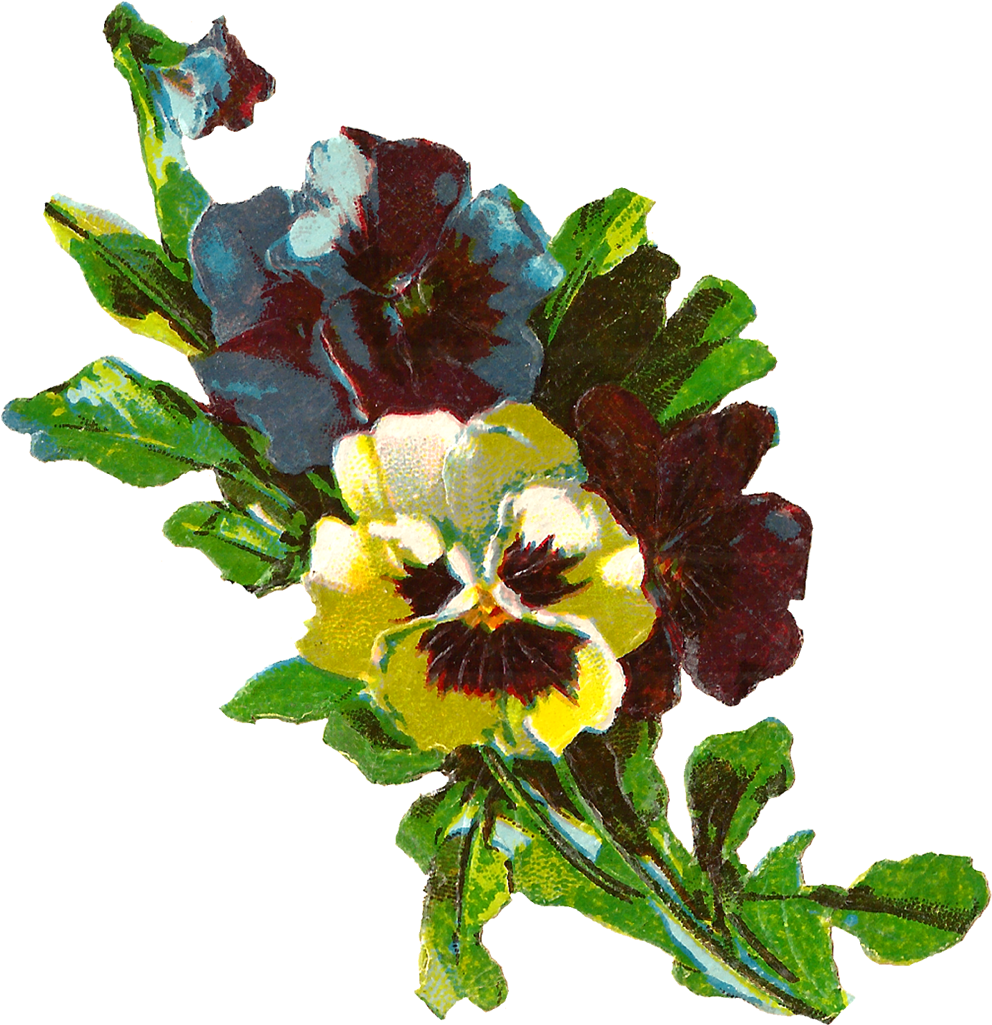 The Yellow, Blue, And Purple Pansies Clustered Together Clipart (1566x1600), Png Download