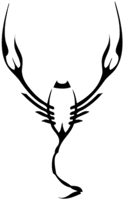 Scorpion Tattoos For Girls Clipart (800x800), Png Download