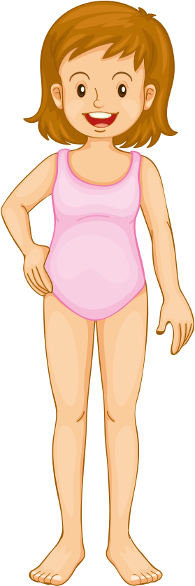 Close - Anatomy And Physiology For Kids! The Human Body And Clipart (1126x1563), Png Download