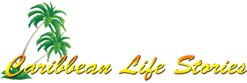 The Newbie Guide To Carnival - Perdidos En La Traducción [book] Clipart (1024x344), Png Download