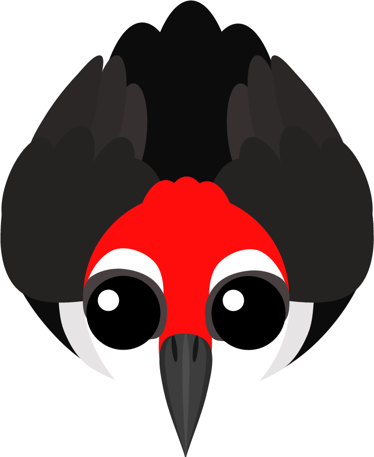 Its Ability Starts Out The Same As Toucan Ability - Mope Io Woodpecker Clipart (1000x1000), Png Download