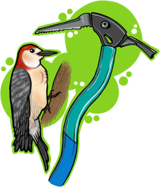Great Ideas Are Everywhere - Black Skimmer Clipart (515x602), Png Download