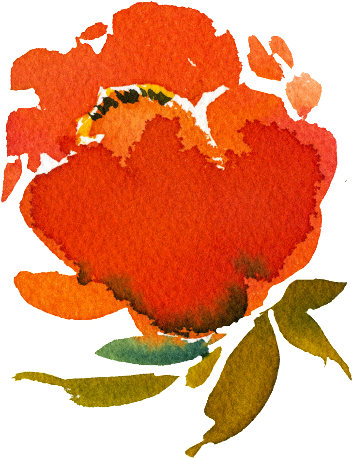 Hand Painted Orange Red Rendering Flower Png Transparent - Orange Clipart (1024x1024), Png Download