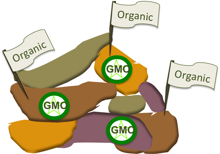 What Is A Gmo - Cartoon Clipart (717x503), Png Download