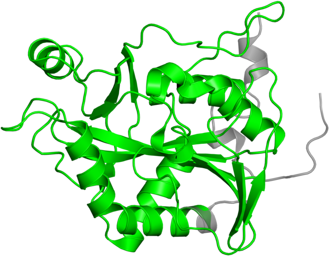 Illustration Clipart (800x800), Png Download