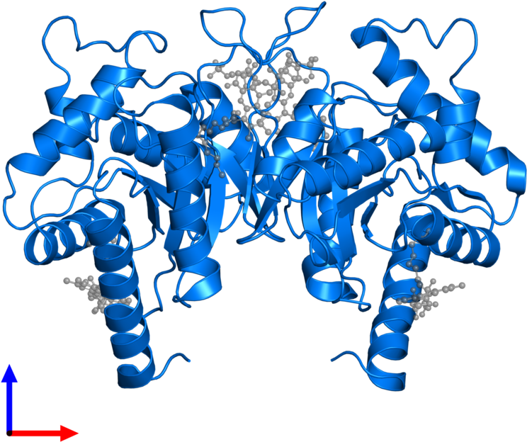Protein Data Bank Clipart (800x800), Png Download