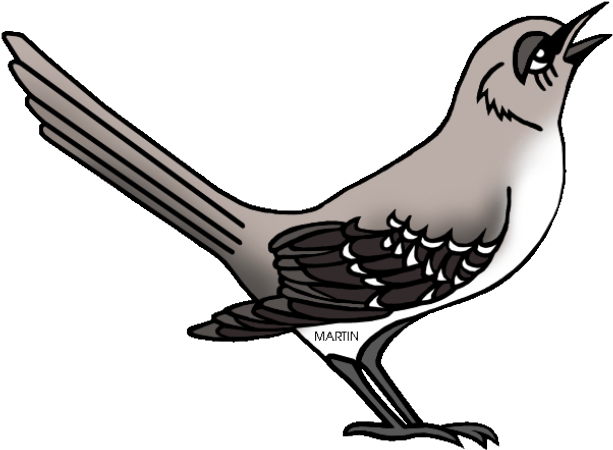 Mockingbird Clipart Tennessee - Northern Mockingbird Clipart - Png Download (640x480), Png Download