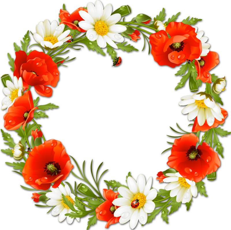 Craft - Poppy Frame Clipart (800x795), Png Download