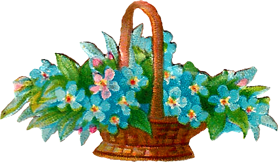 Wildflower Clip Art - Png Download (894x521), Png Download