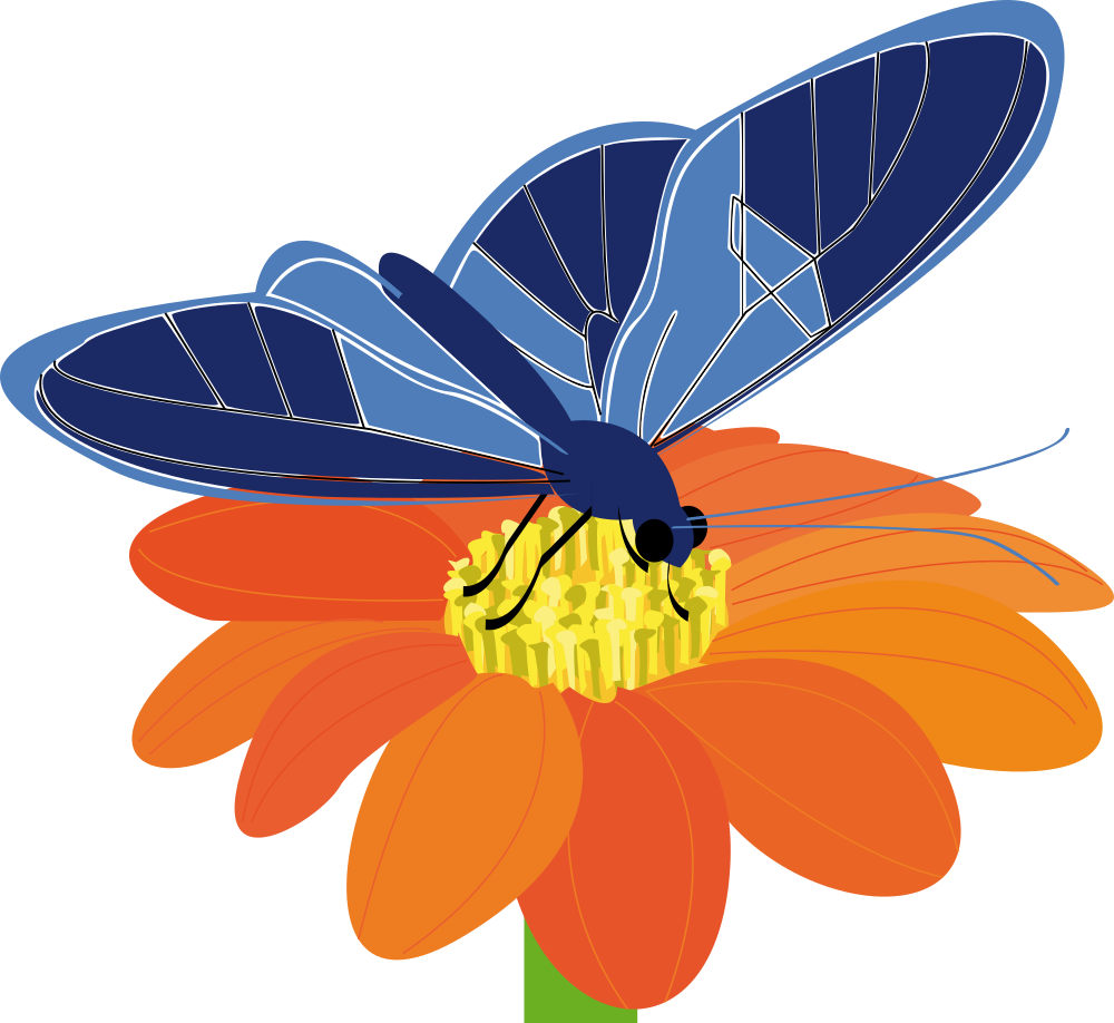 Free Butterfly On A Flower - Butterfly On Flower Clip Art - Png Download (800x733), Png Download