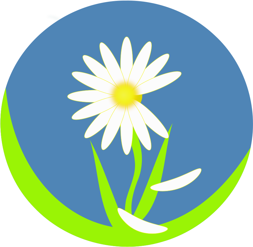 Medium Image - Ethiopian New Year Flower Png Clipart (800x782), Png Download