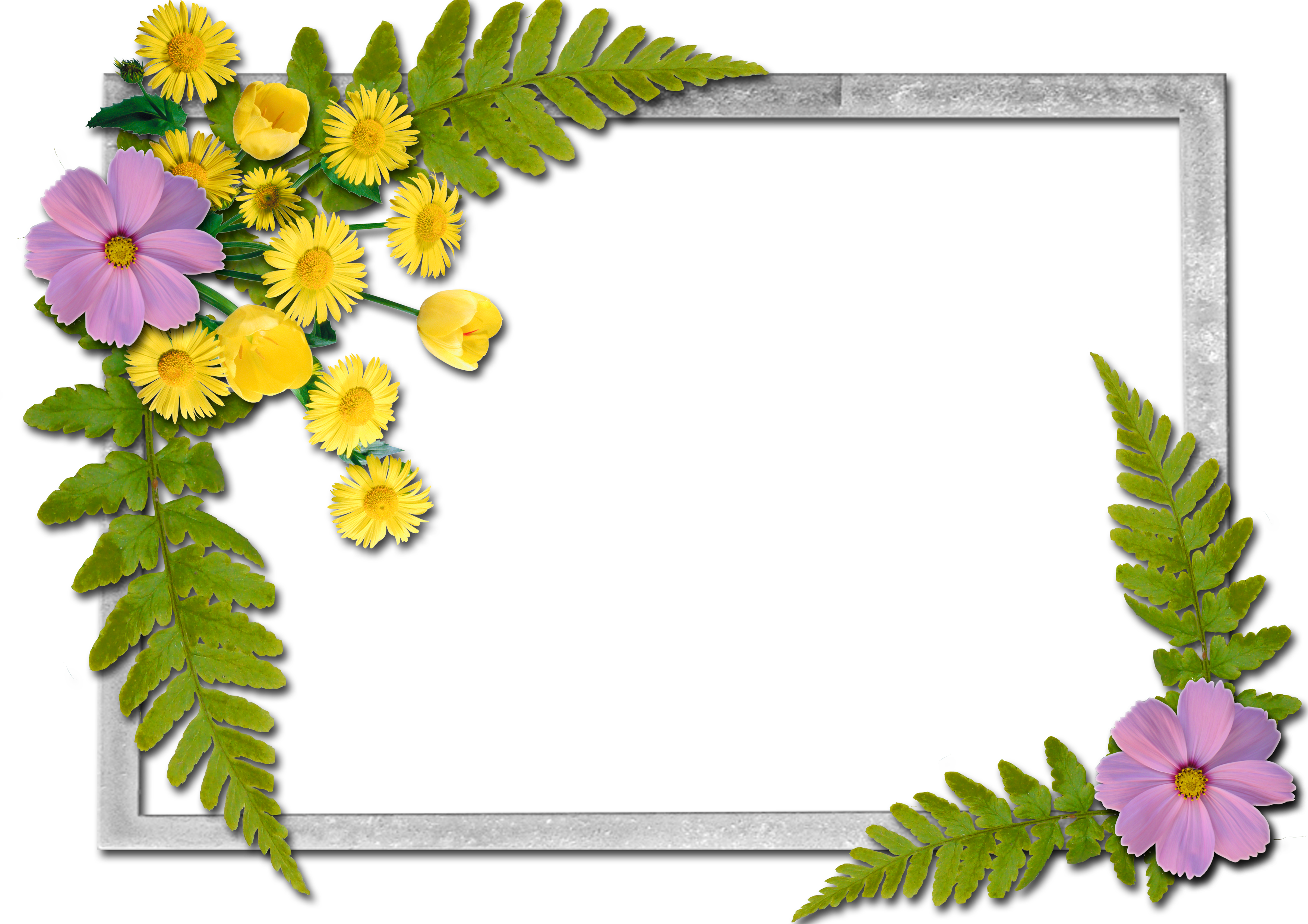 Flowers Yopriceville High Quality Images And View - Teacher's Day With Dr Sarvepalli Radhakrishnan Clipart (3510x2480), Png Download