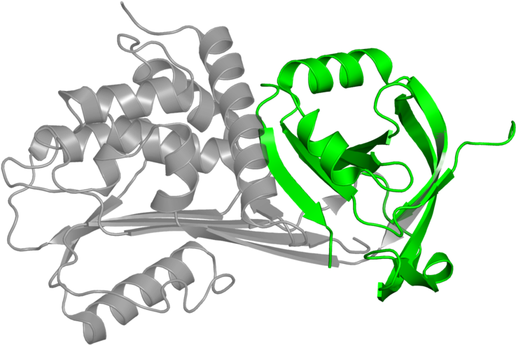 Illustration Clipart (800x800), Png Download