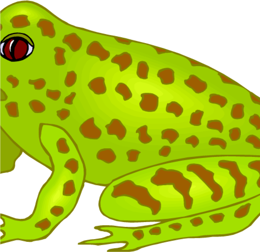 Free Fish Hatenylo Com Music - Frog Clipart (1024x1024), Png Download