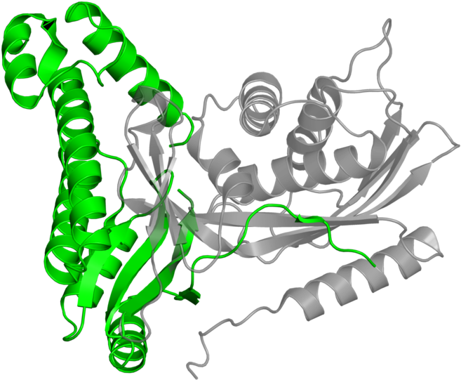 <div Class='caption-body'>1 Copy Of Scop Domain < - Illustration Clipart (800x800), Png Download