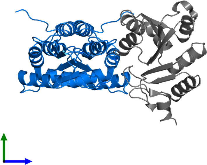 Illustration Clipart (800x800), Png Download