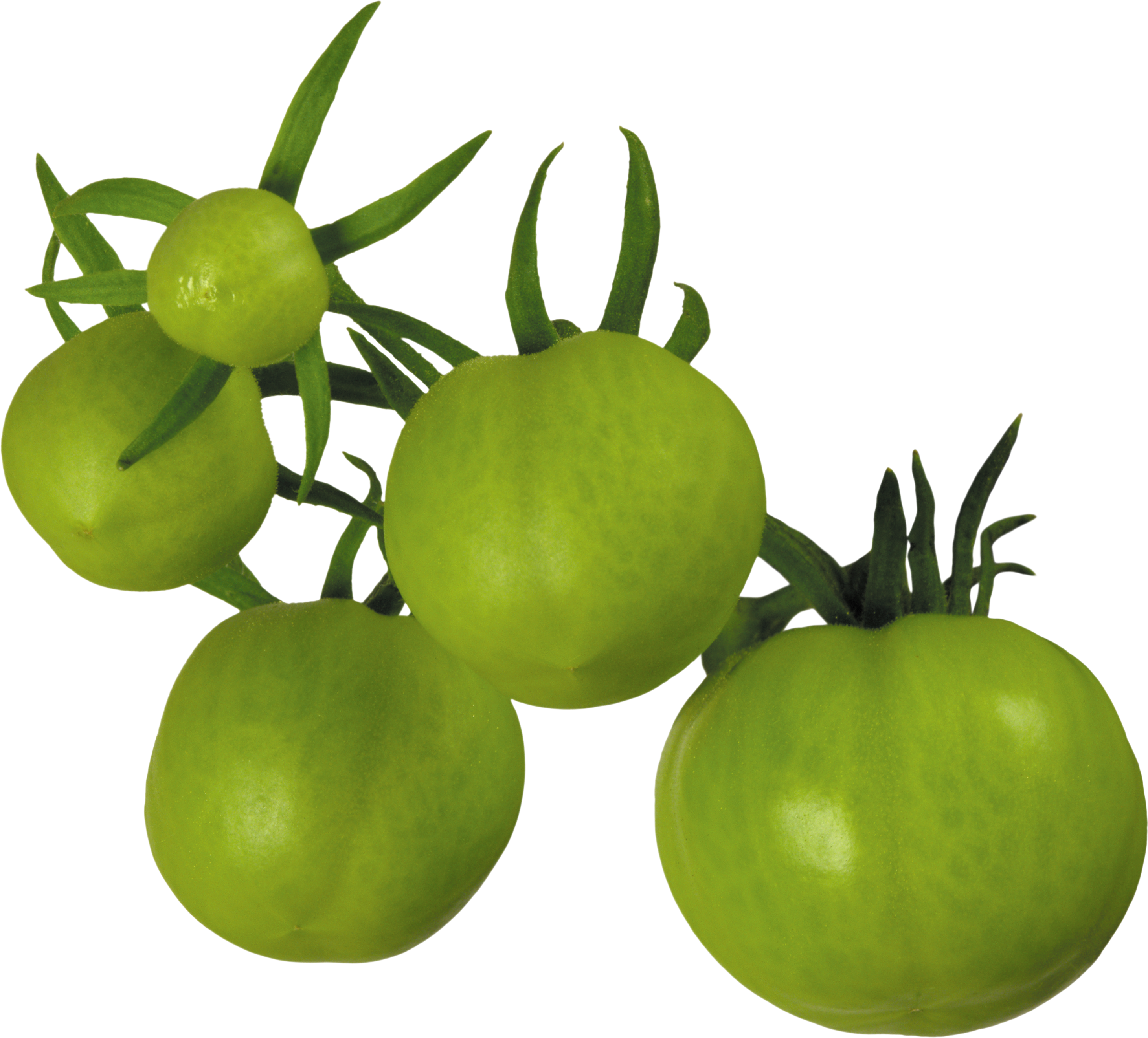 Vegetable Clipart Transparent Background - Green Tomato Png (2921x2643), Png Download