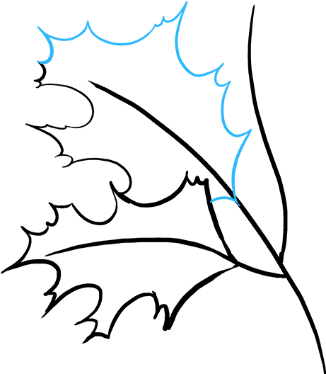 How To Draw Fall Oak Clipart (680x678), Png Download