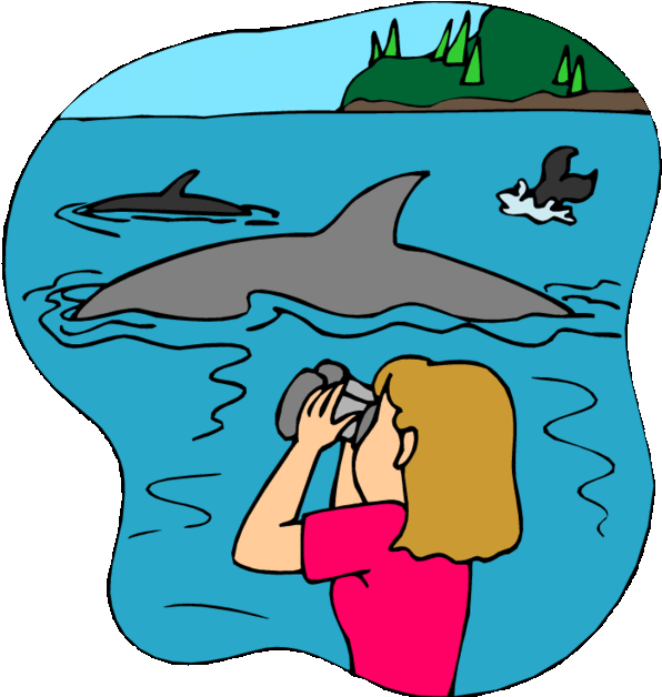 Rocky Mountains, Sunshine Coast, Snowdonia, Hot Tub, Clipart (640x643), Png Download