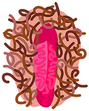 Feminismo Feminista Feminist Feminism Girl Pussy Power - Illustration Clipart (578x612), Png Download