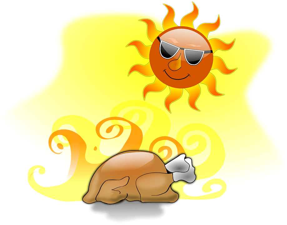 Turkey In Sun Clipart (937x720), Png Download