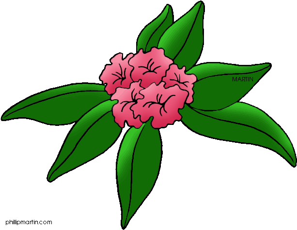 Download - West Virginia State Flower Drawing Clipart (648x501), Png Download