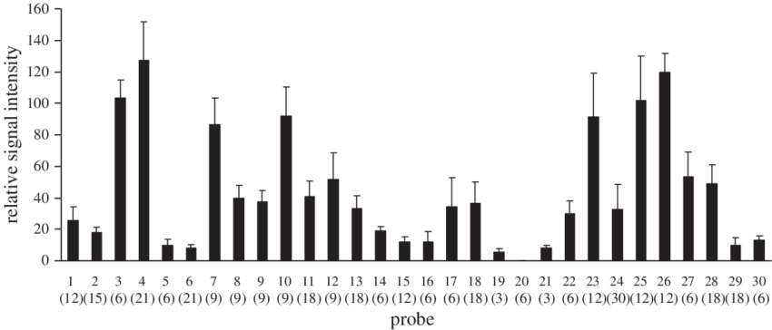 Relative Signal Intensities Of Each Probe With Its - Skyline Clipart (850x364), Png Download