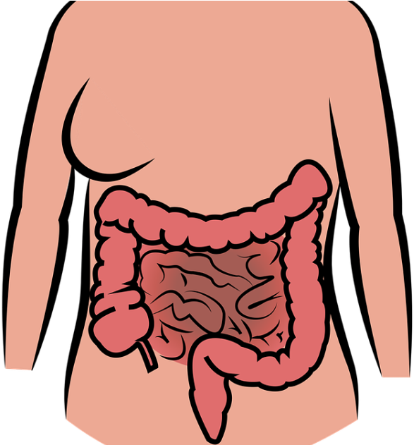 5 Complications Of Sibo Clipart (1200x630), Png Download