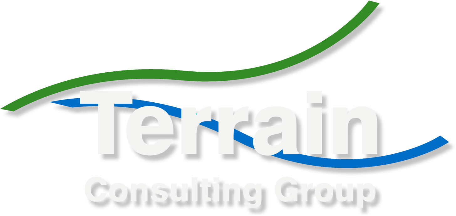 Transparent Download Development Consultants Land Town - Terrain Consulting Group Clipart (1500x742), Png Download