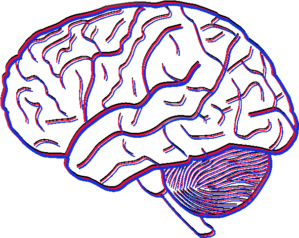 Investigating The Flexibility Of Empathy - Simple Picture Of A Brain Clipart (700x500), Png Download