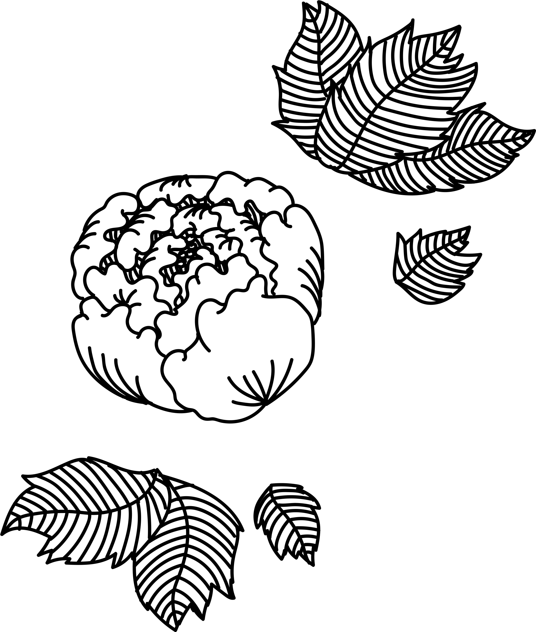 Garden Clipart (2480x2480), Png Download