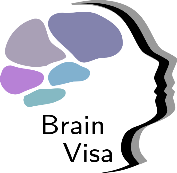 Many Toolboxes Have Already Been Developped For Brainvisa - Brainvisa Clipart (576x563), Png Download