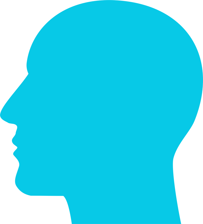 Silhouette - Information Clipart (800x882), Png Download